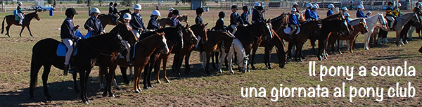 il pony a scuola, una giornata al pony club